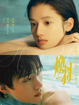 ,介绍海报