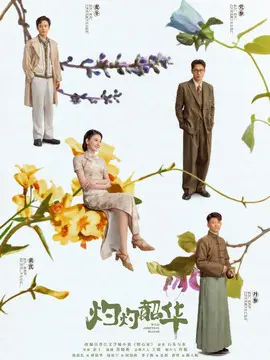 灼灼韶华海报